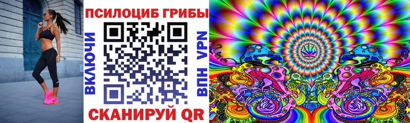 Купить где  Рославль  Псилоцибиновые грибы Psilocybe 